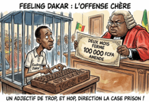 Site d’info ‘Feeling Dakar’ : le journaliste digital Daouda Ndiaye écope du prix de gros de ‘l’Offense au Chef de l’Etat' »