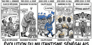 La DirPub de Sud Quotidien met le feu au lac, en partant des ‘clubs de réflexion’ (de Senghor) aux ‘boucliers’ (de Diomaye) en passant par les ‘calots bleus’ (de Wade)…
